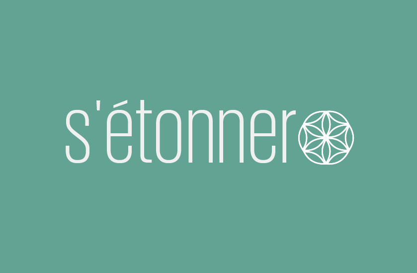 E-commerce Logo
