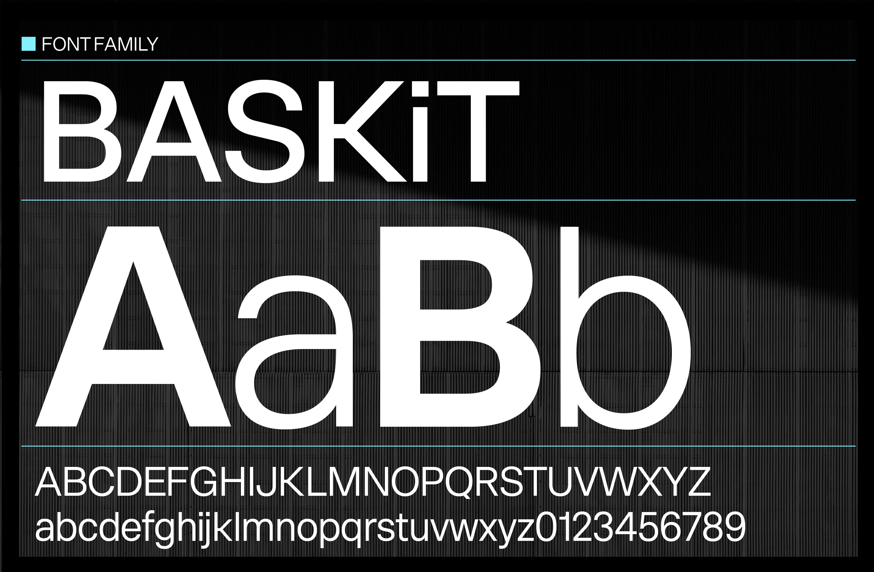 BASKiT e-commerce Font