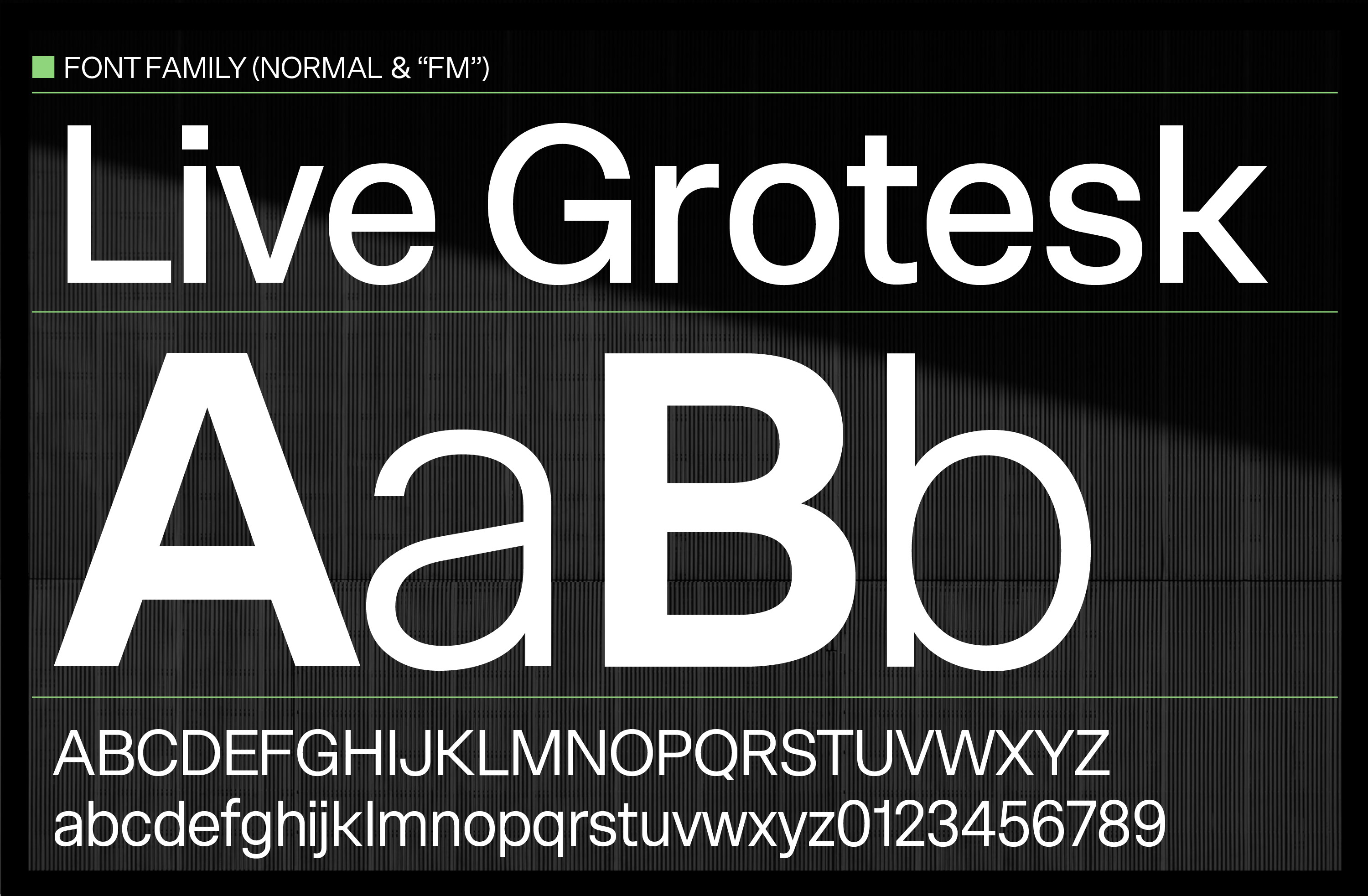 Live Grotesk Font