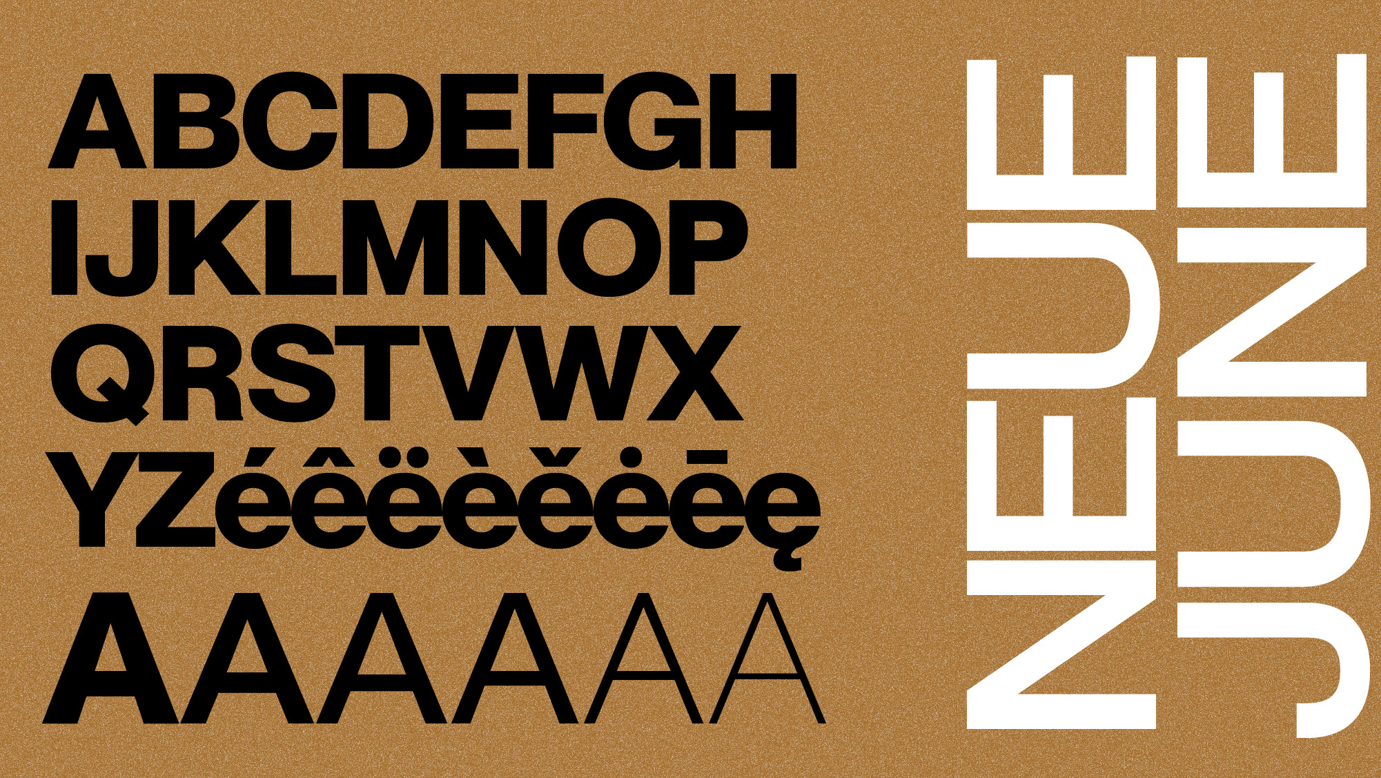 Neue June Designer Sans Serif Font