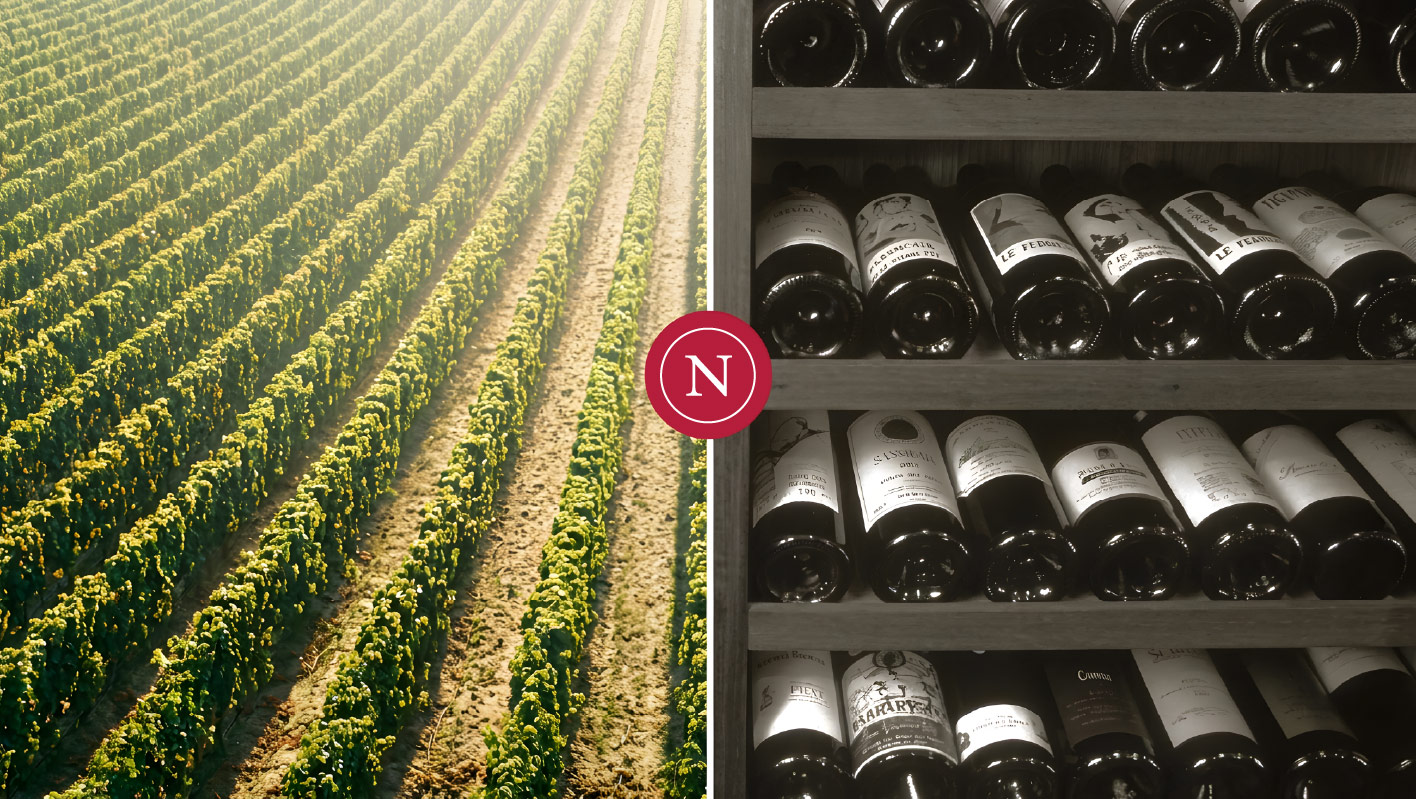 Vineyard branding
